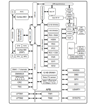 Blockdiagramm - STMicroelectronics STM32WB1xCC drahtlose Multiprotokoll-32-Bit-MCUs 